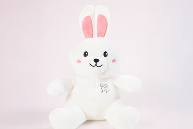 lapin1